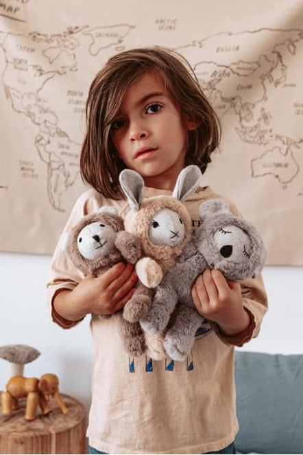 Morton The Koala